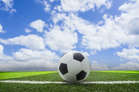 体育研究应用场景